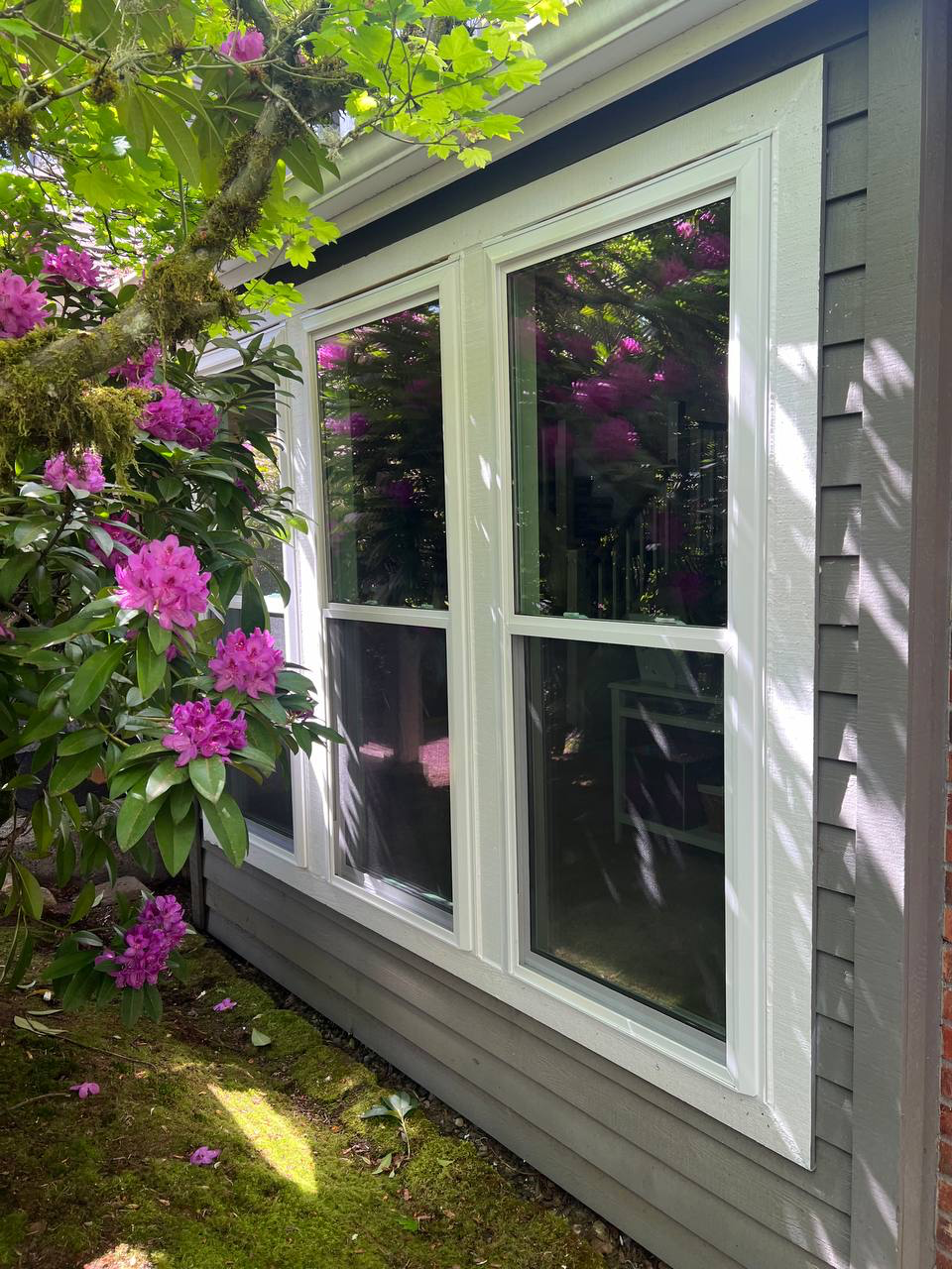 Window replacement with garden view